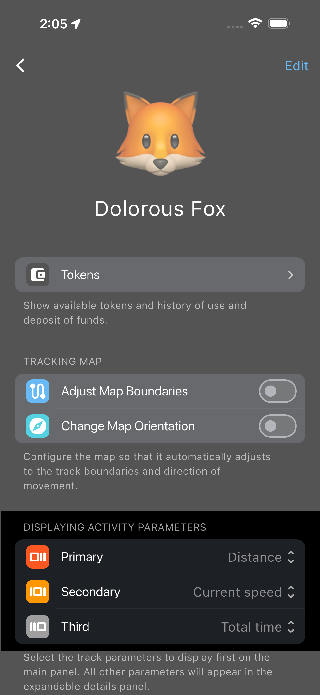 Displaying activity parameters